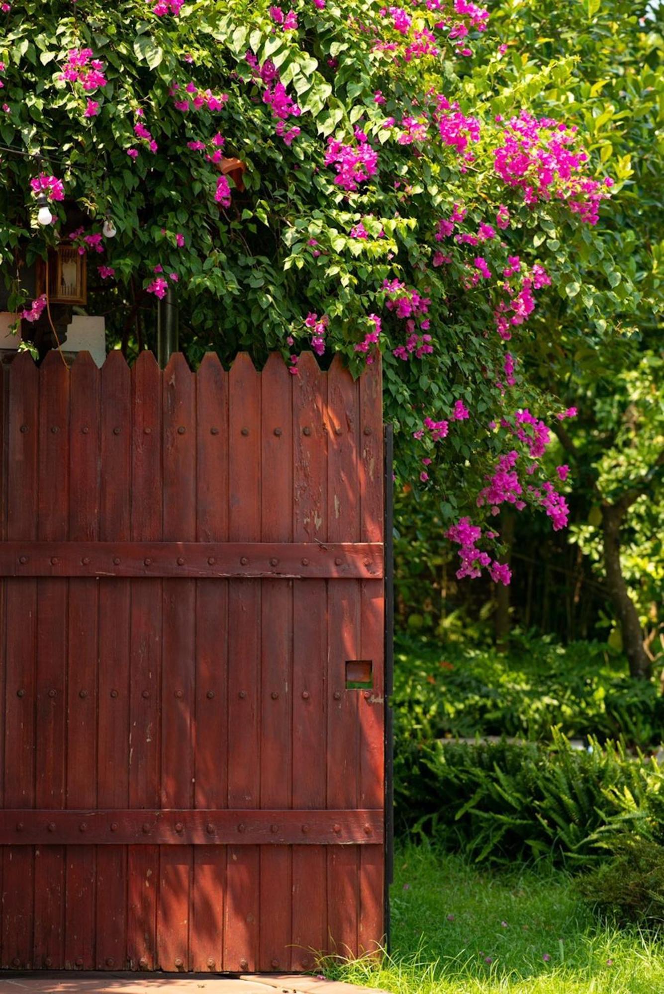 Meadow Holiday home